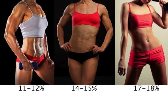 percento telesného tuku pre ženy