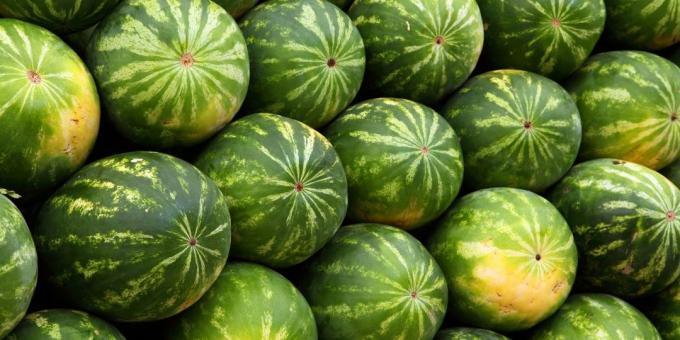 Kúpiť melón v pravý čas roka