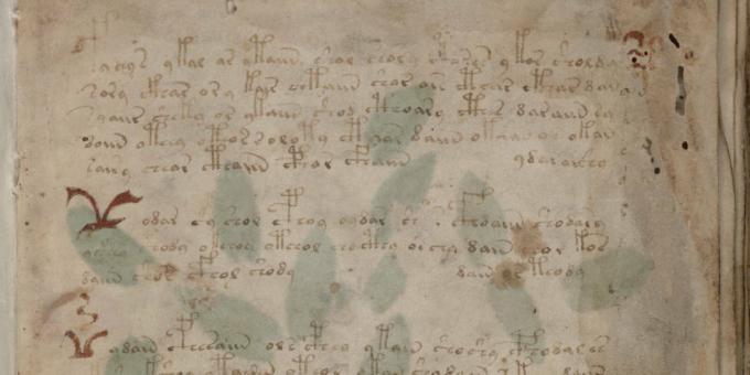 Tajomstvá histórie: Voynichov rukopis