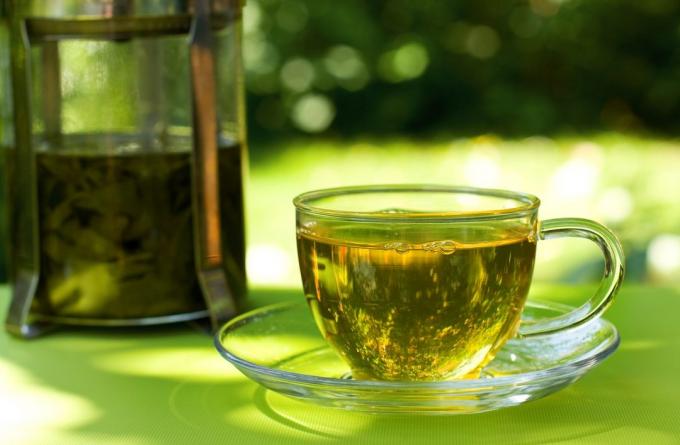 Návyky, ktoré vám pomôžu schudnúť: piť zelený čaj