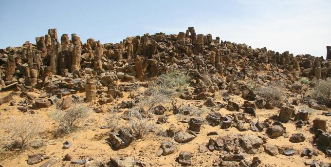 Susedné krajiny: Stone Lesné Bissekty formácie v Uzbekistane