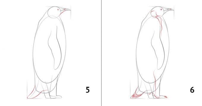 Ako k tomu tučniaka