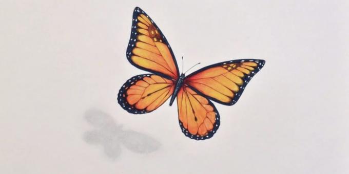 Ako kresliť realistické motýľ markery a pastelky