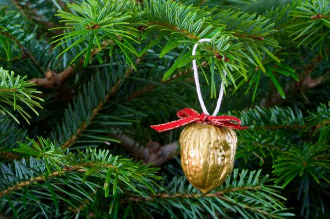 Zdobenie vianočného stromu vlašský orech