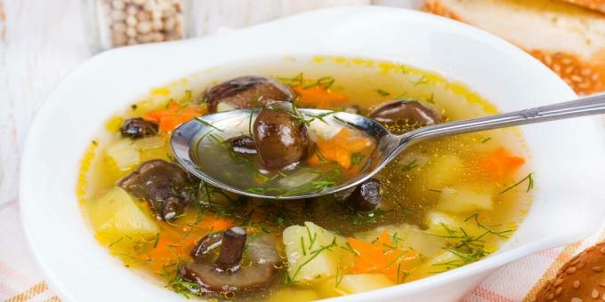 Zeleninová polievka s hubami