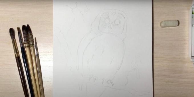 Ako nakresliť sovu: zobrazte pazúry, oči a konár