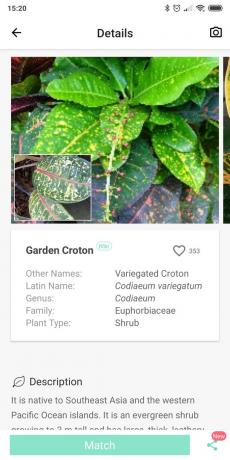 Identifikovať druhy izbových rastlín s využitím PictureThis