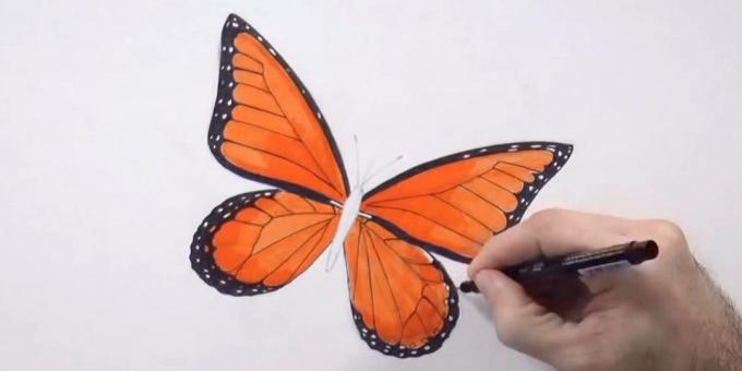 Maľovať spodnej hrany krídel a malý čierny kruh vzor