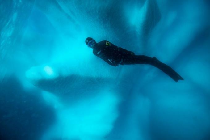 Voľný potápač v Antarktíde