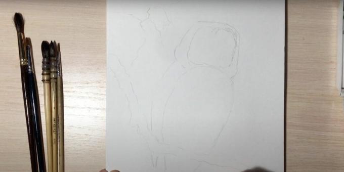 Ako nakresliť sovu: načrtnite vetvu a telo sovy