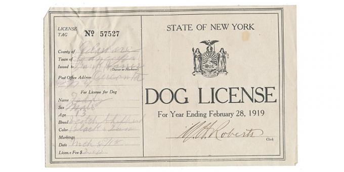 licencie pre psa 
