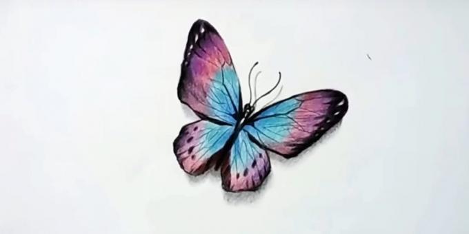 Ako nakresliť realistický butterfly pastelky