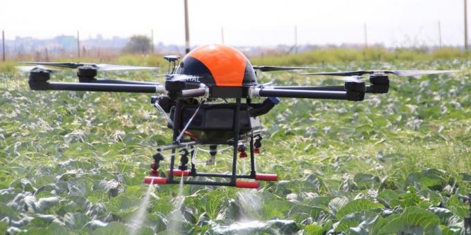 Drone pomáha pestovať rastliny