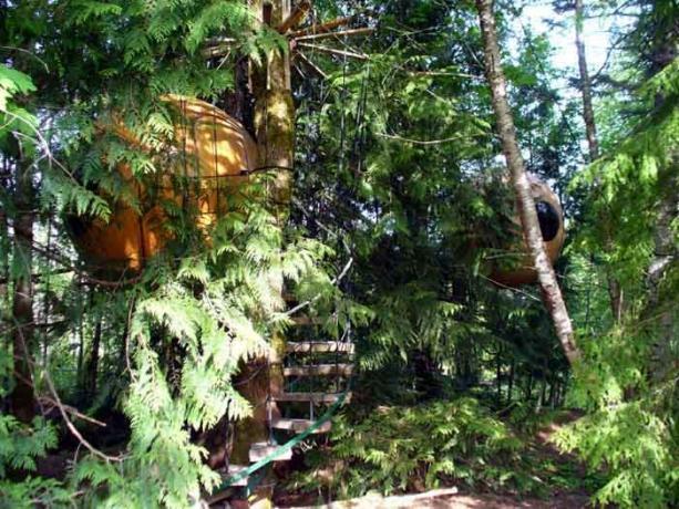 Treehouse, ktoré možno rezervovať