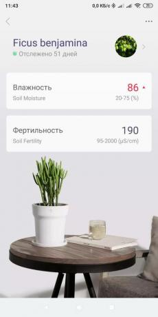 Šikovný kvetináč Youpin Flower Pot: management smartphone