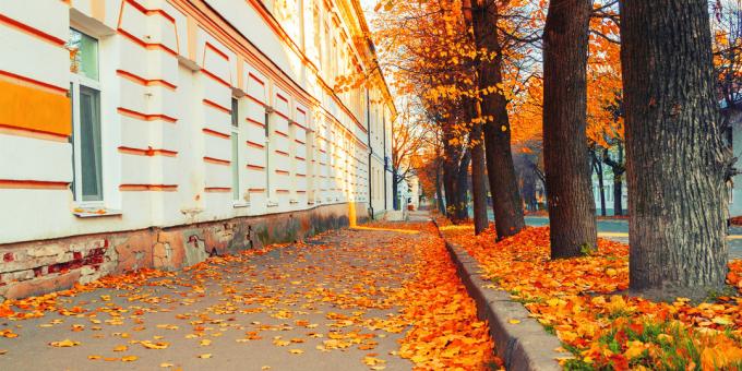 Atrakcie Veľkého Novgorodu: staré mesto