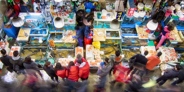 Atrakcie Južná Kórea: je nutné navštíviť rybí trh