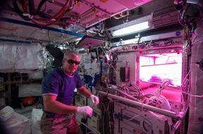 Šalát vo vesmíre. Astronauti pestovať rastliny na ISS a prečo je to dôležité