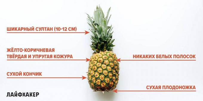 Ako si vybrať ananás: náznaky zrelého ananásu