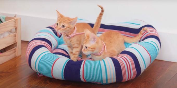 Ako si vyrobiť posteľ pre svetra na mieru pre mačku