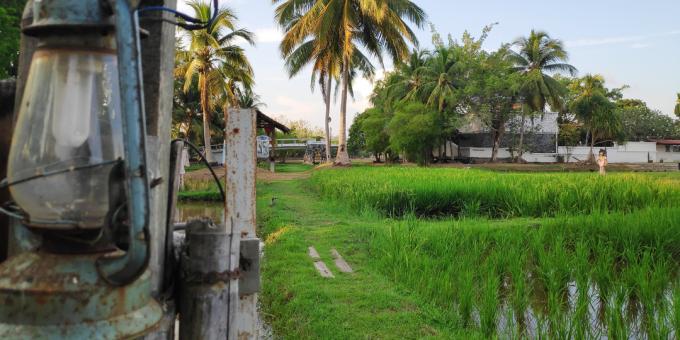 Orientačné body Langkawi: Múzeum kultúry ryže Laman Padi